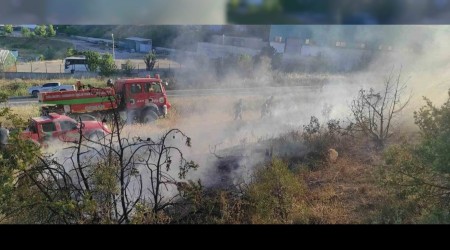 Bilecik'te ormanlk alanda kan yangn ekiplerin mdahalesiyle bymeden sndrld