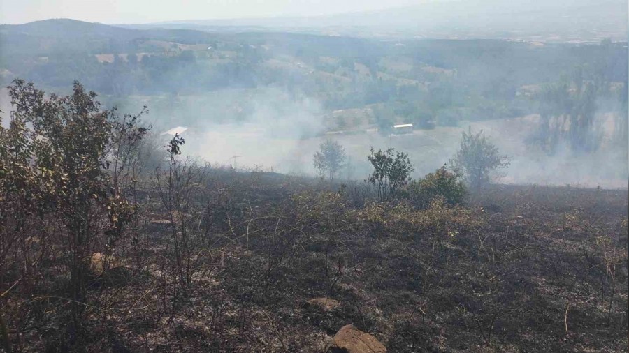 Bursa'da 1,5 hektar otluk alan yand