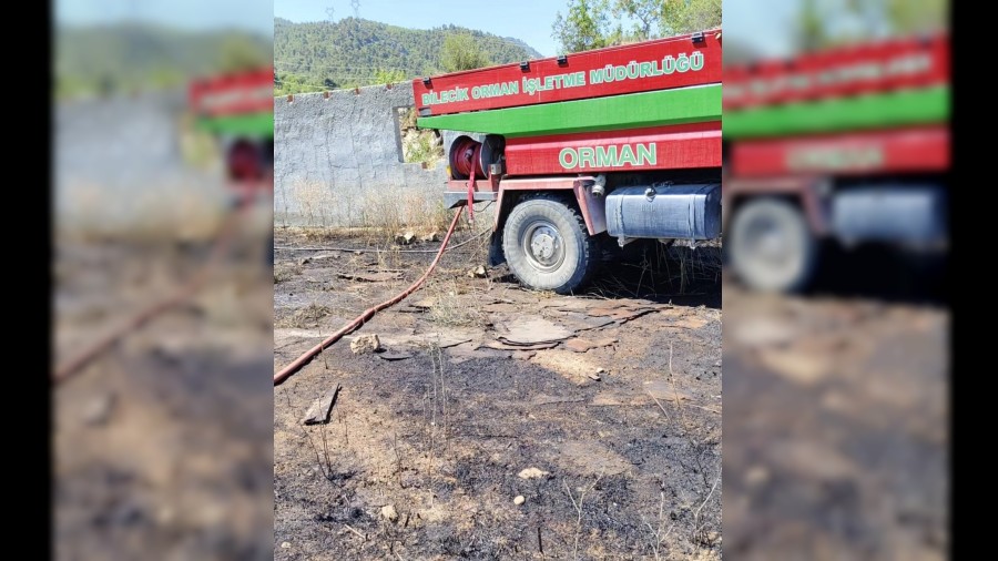 Bilecik'te elektrik tellerine arpan ku srs yangna sebep oldu