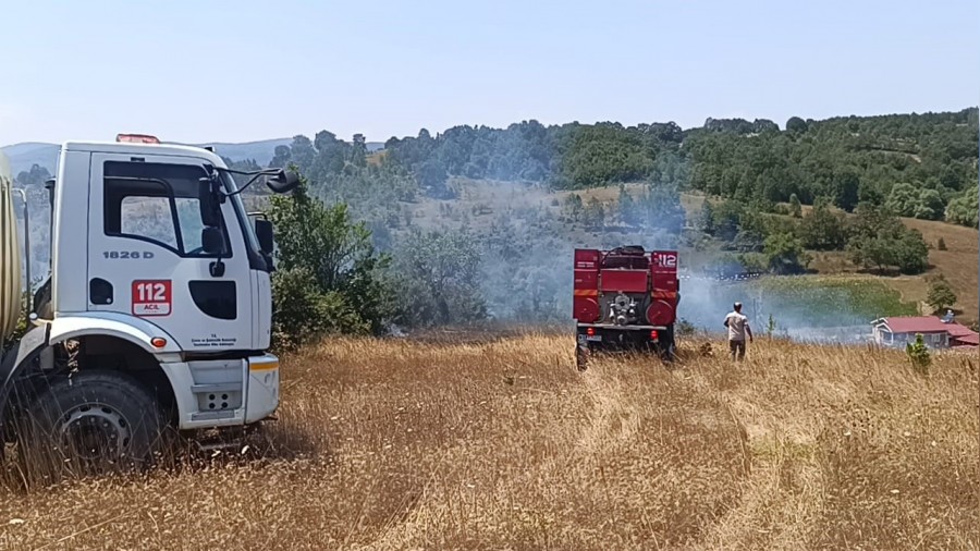 Bilecik'te kan ot yangnnda 1 kii hastanelik oldu