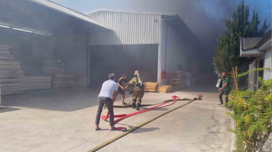 Bursa'da kereste fabrikas alevlere teslim oldu